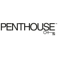 Penthouse (Германия) logo