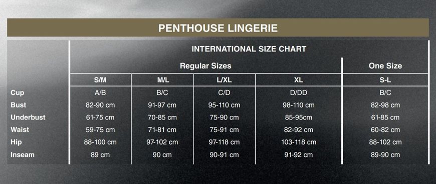 Приталенная сорочка-сетка со стрингами Penthouse - All Yours Black L/XL реальная фотография