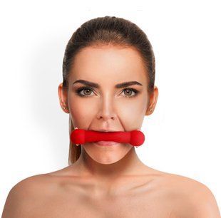 Кляп-палиця на ременях Art of Sex &ndash; Gag Stick Silicon, червоний, натуральна шкіра жива фотографія